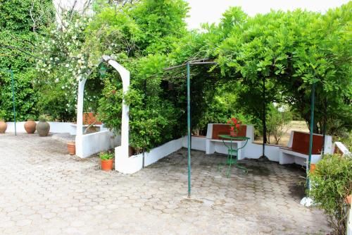Outdoor Pictures 17