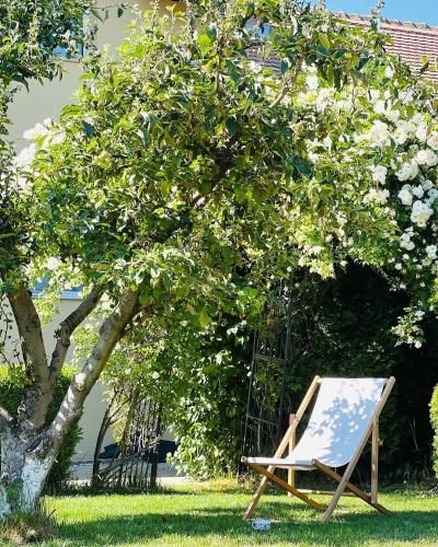 Outdoor Pictures 12