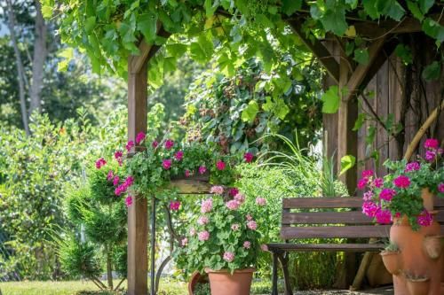 Outdoor Pictures 16