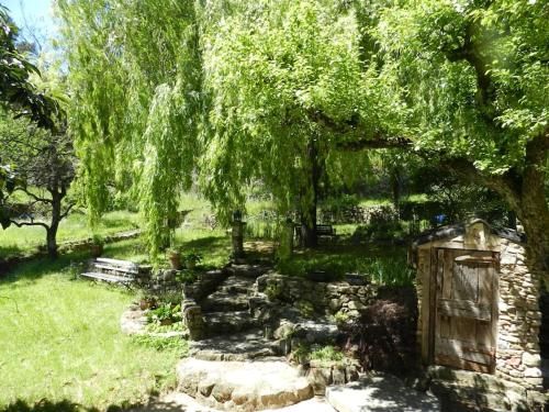 Outdoor Pictures 15