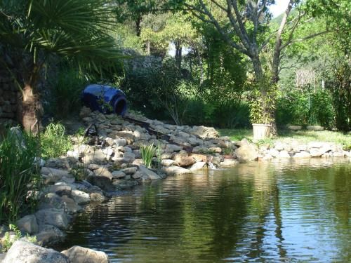Outdoor Pictures 24
