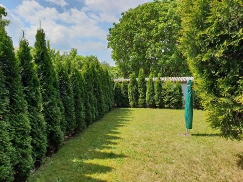 Outdoor Pictures 7