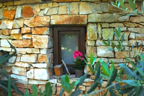 Outdoor Pictures 24