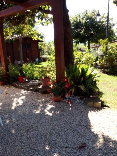 Outdoor Pictures 14