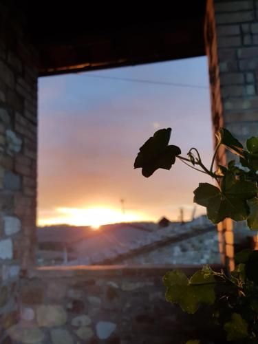 Outdoor Pictures 12
