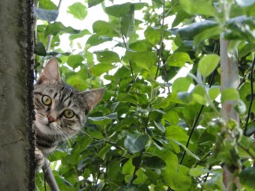 Outdoor Pictures 16