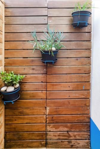 Outdoor Pictures 7