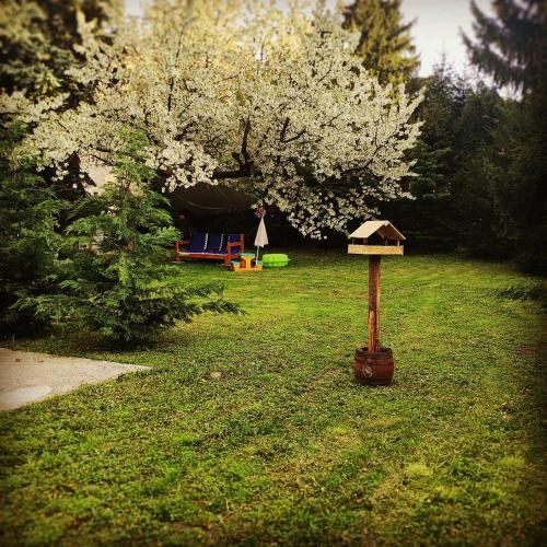 Outdoor Pictures 2
