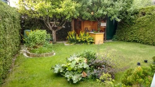Outdoor Pictures 15