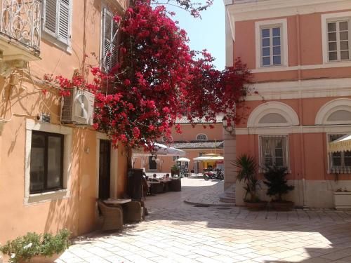 Outdoor Pictures 15