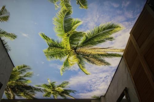 Outdoor Pictures 24