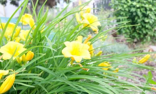 Outdoor Pictures 23