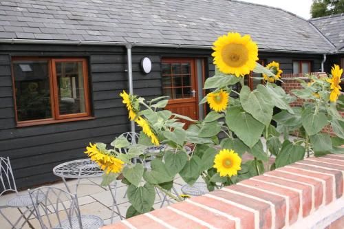 Blashford Manor Holiday Cottage - The Dartmoor Cottage