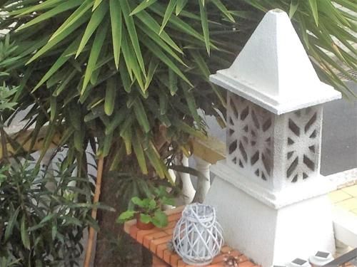 Outdoor Pictures 5