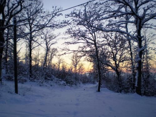 Outdoor Pictures 1