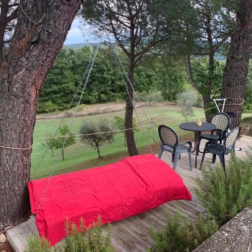 Outdoor Pictures 7