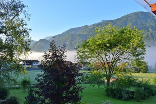 Outdoor Pictures 20