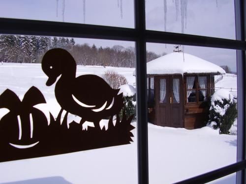 Outdoor Pictures 11