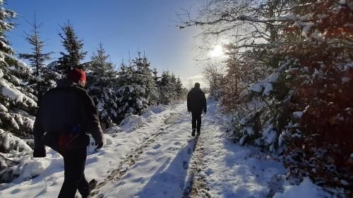 Ferienwohnung Sauerland Fernblick