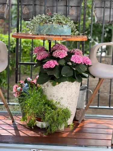 Outdoor Pictures 11