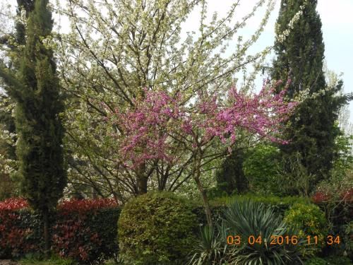 Outdoor Pictures 12