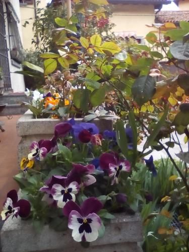 Outdoor Pictures 7