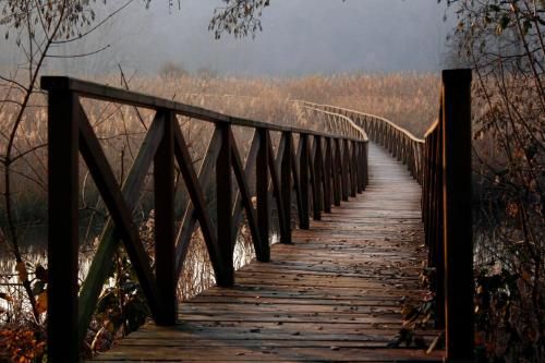 Outdoor Pictures 23