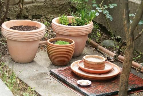 Outdoor Pictures 24