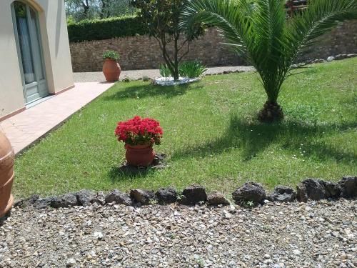 Outdoor Pictures 11