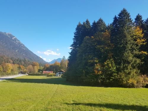 Outdoor Pictures 11