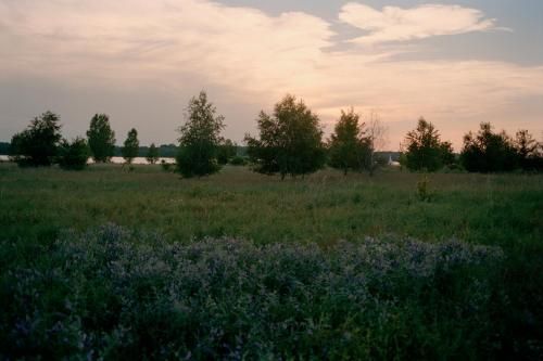 Outdoor Pictures 21