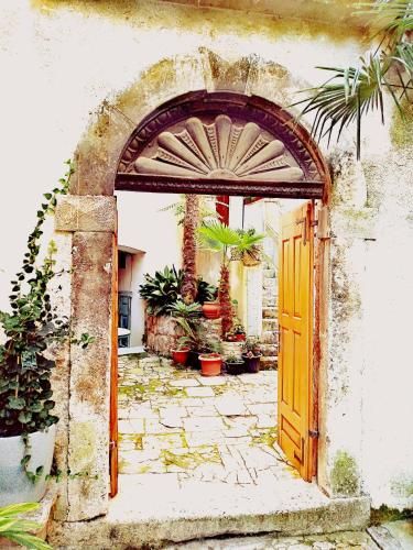 Outdoor Pictures 24