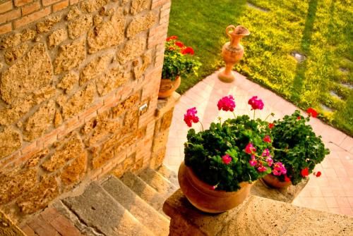 Outdoor Pictures 11
