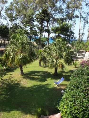 Outdoor Pictures 11