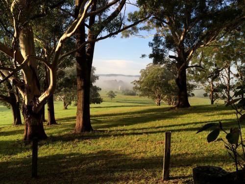 Outdoor Pictures 17