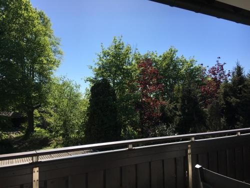 Outdoor Pictures 3