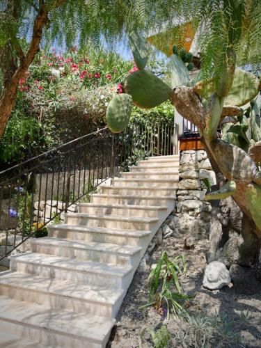 Outdoor Pictures 24