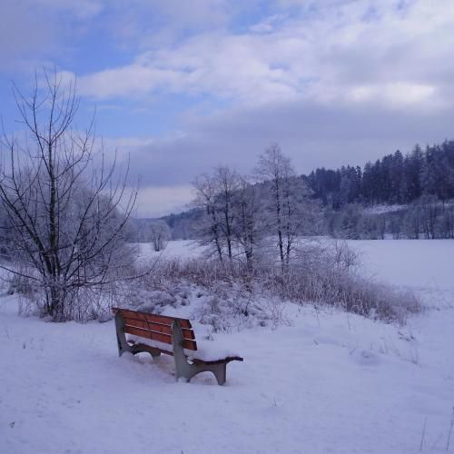 Outdoor Pictures 13