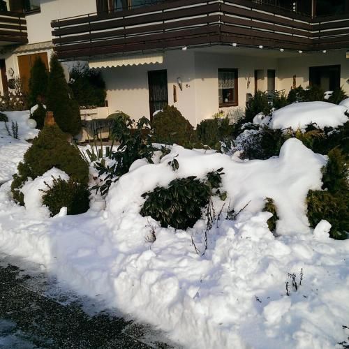 Outdoor Pictures 1