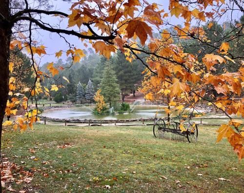 Outdoor Pictures 4
