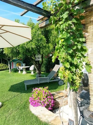 Outdoor Pictures 24