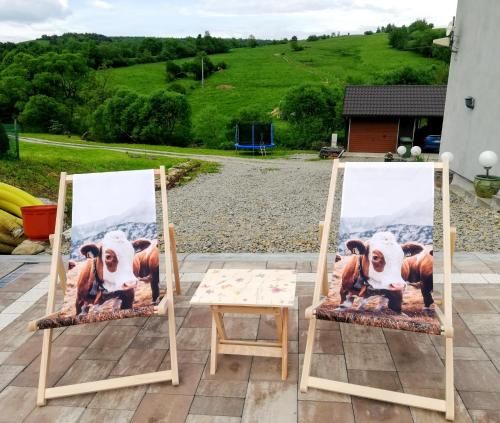 Outdoor Pictures 3