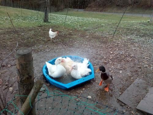 Outdoor Pictures 7
