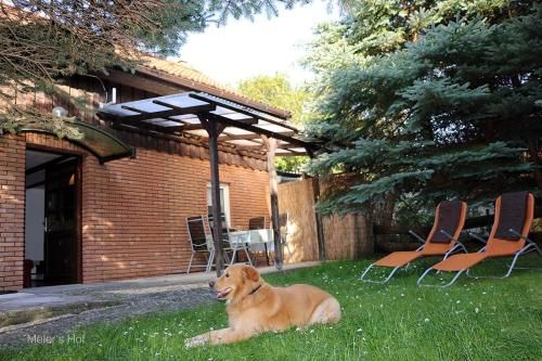 Outdoor Pictures 1
