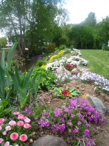 Outdoor Pictures 8