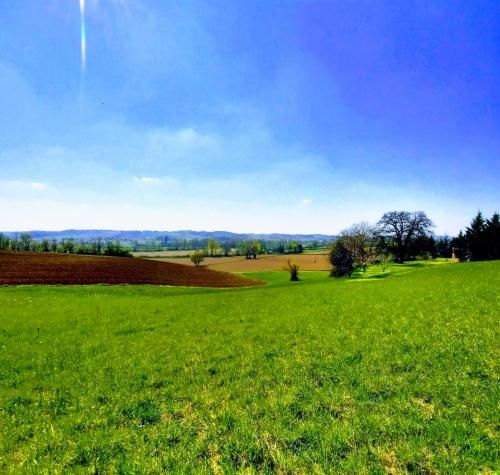 Outdoor Pictures 6