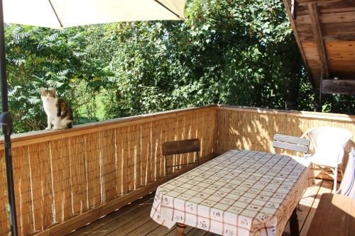 Outdoor Pictures 5