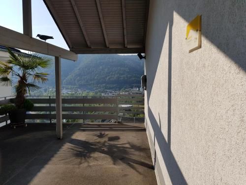 Outdoor Pictures 16