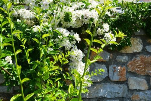 Outdoor Pictures 20
