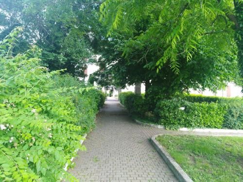 Outdoor Pictures 11